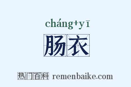 肠衣是什么意思的图片